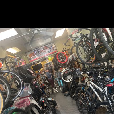 Inside Stan's Bike Shop